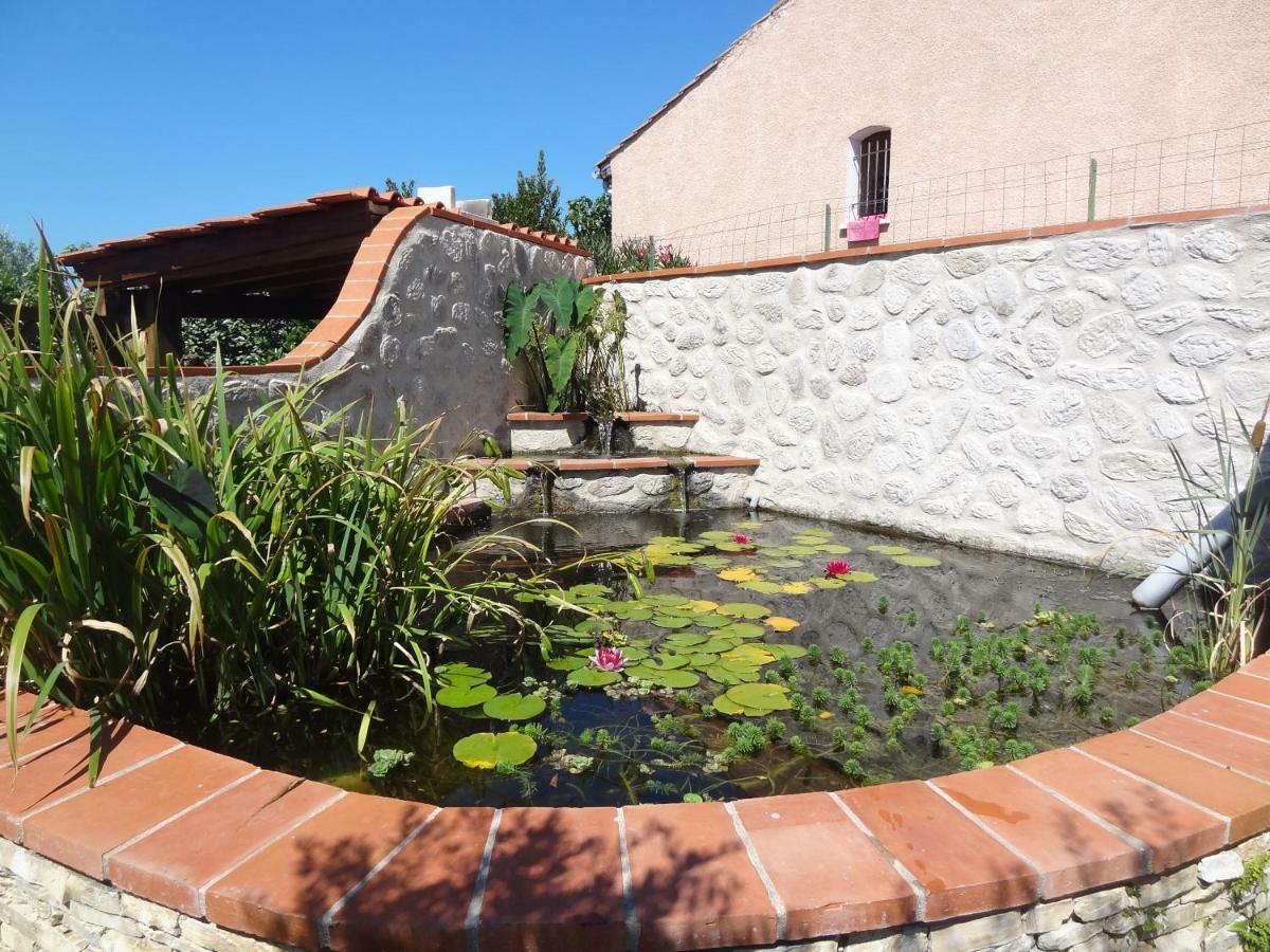 Le Jardin De L'Olivier Banyuls-dels-Aspres Exterior foto
