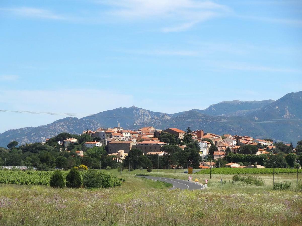 Le Jardin De L'Olivier Banyuls-dels-Aspres Exterior foto