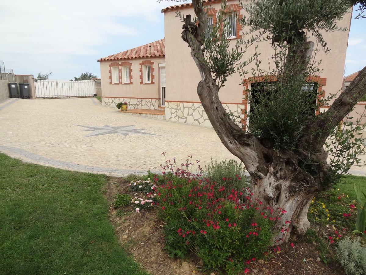 Le Jardin De L'Olivier Banyuls-dels-Aspres Exterior foto