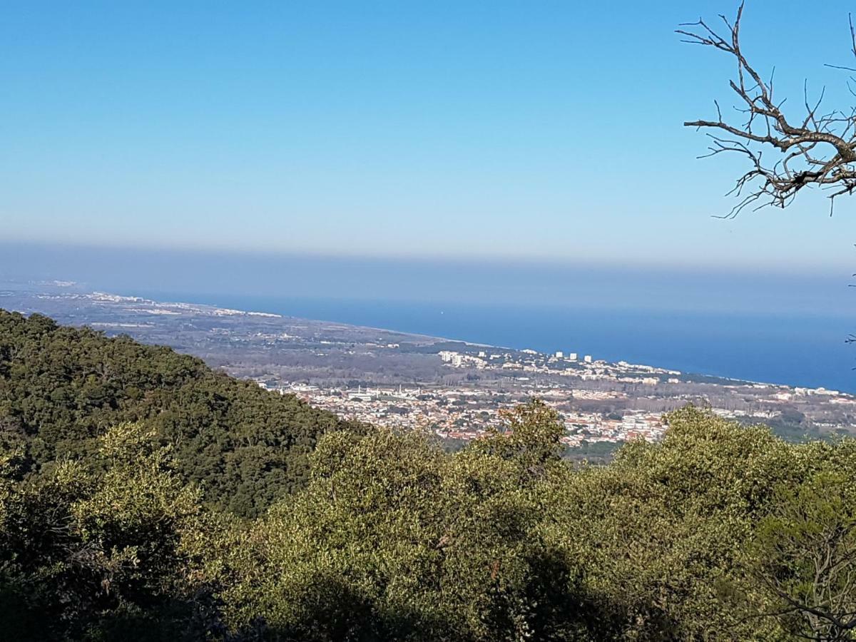 Le Jardin De L'Olivier Banyuls-dels-Aspres Exterior foto